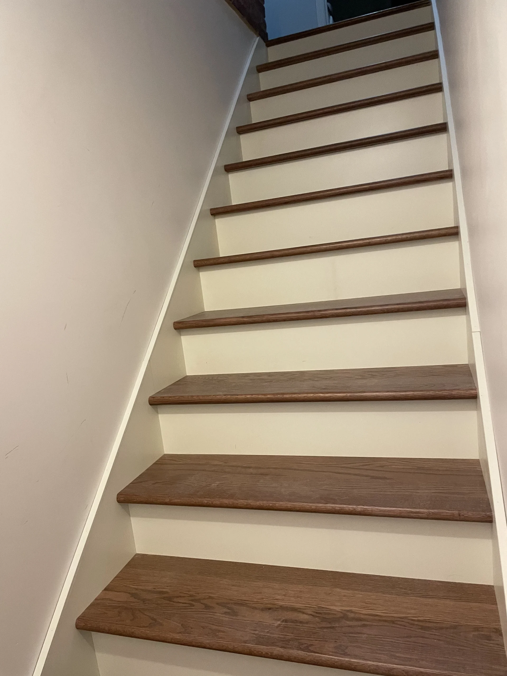 Escalier droit en bois franc teinté noyer aux contremarches blanches — vue principale